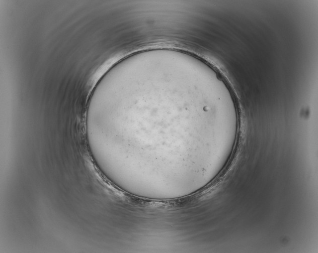 X0000114411097200911061554