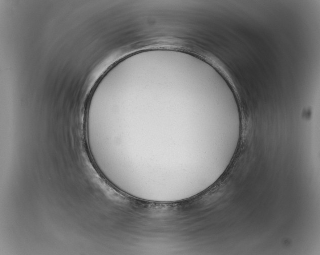 X0000114411099200911061554