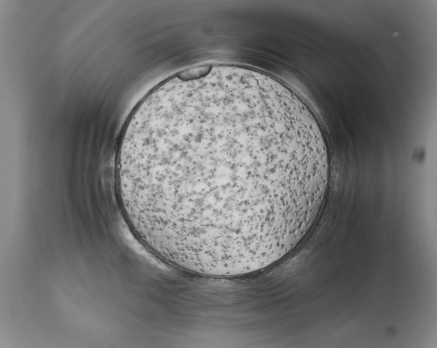 X0000114411100200911061554