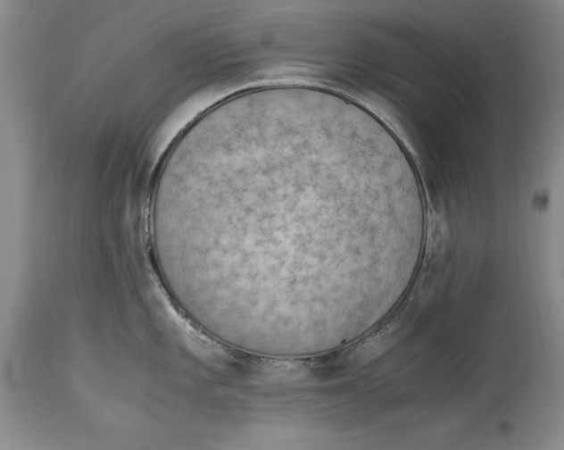 X0000114411101200911061554