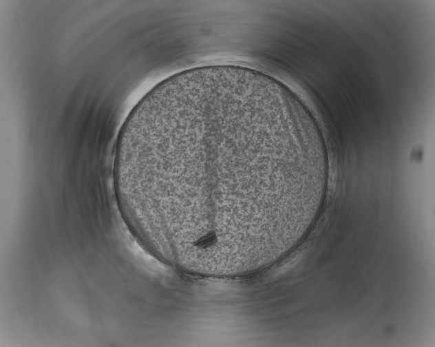 X0000114411102200911061554