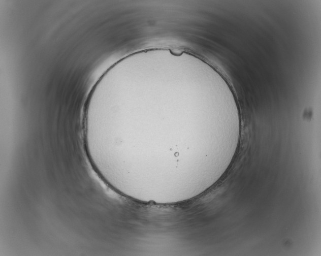 X0000114411103200911061554