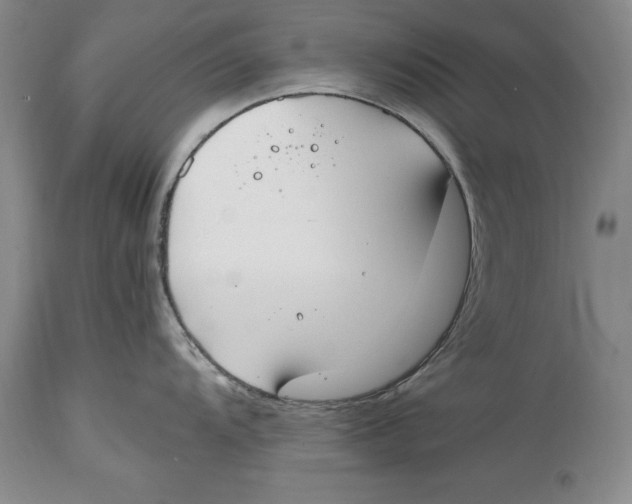 X0000114411104200911061554