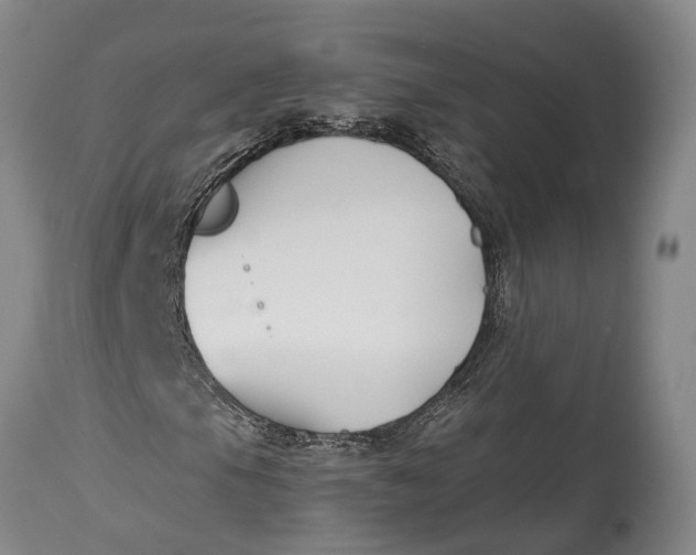 X0000114411105200911061554