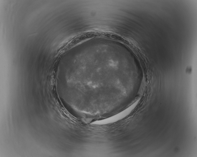 X0000114411110200911061554