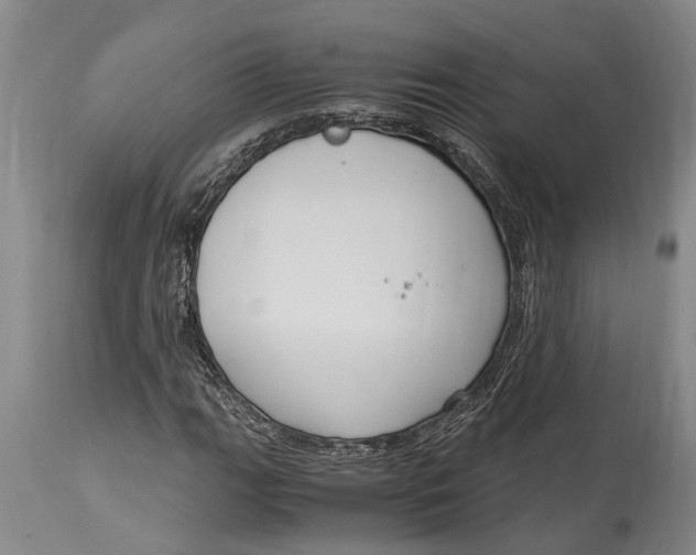 X0000114411111200911061554