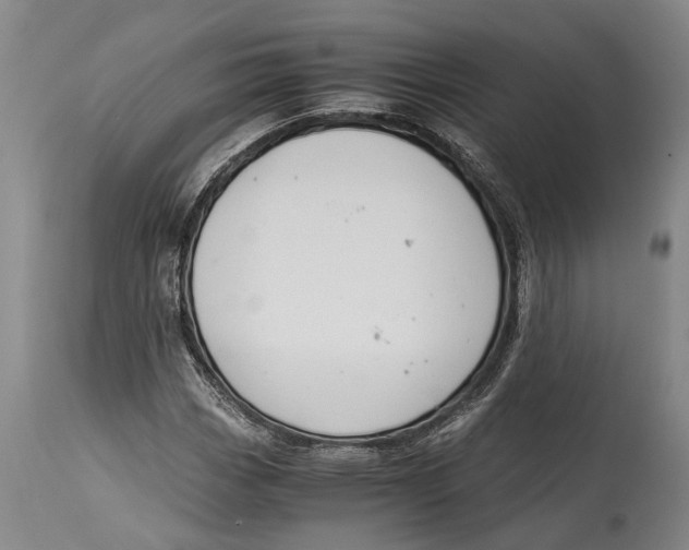 X0000114411113200911061554