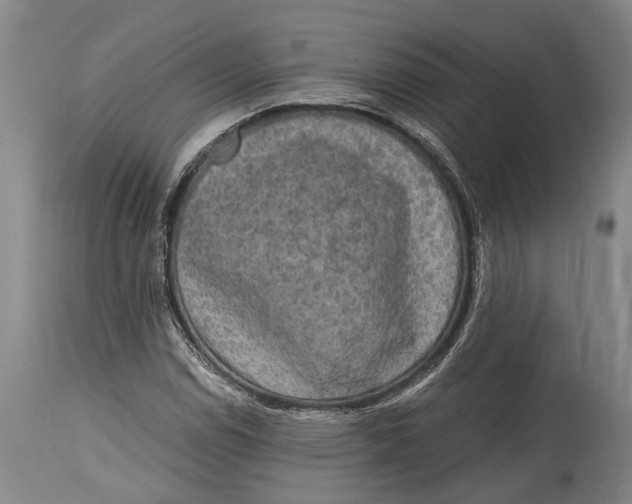 X0000114411114200911061554