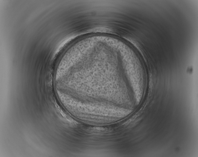 X0000114411115200911061554