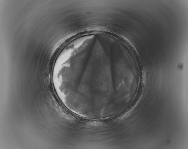 X0000114411117200911061554