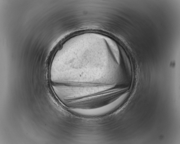 X0000114411118200911061554