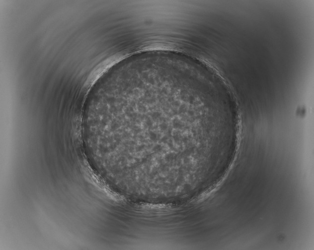 X0000114411121200911061554