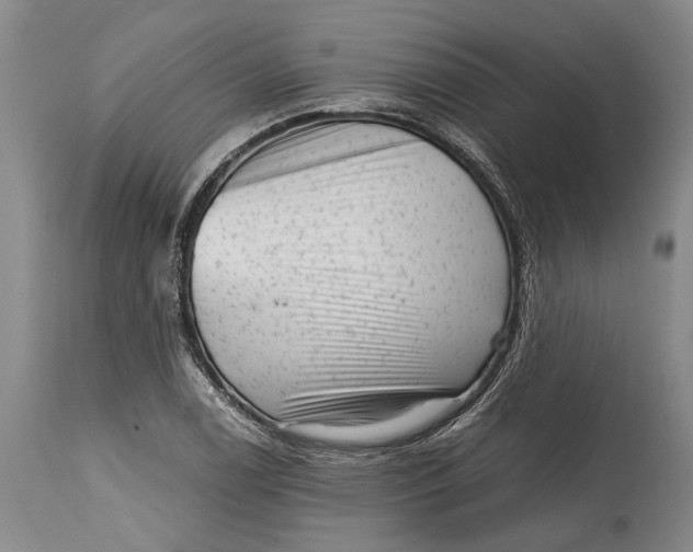 X0000114411122200911061554