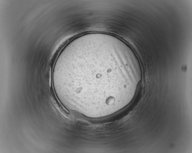 X0000114411123200911061554