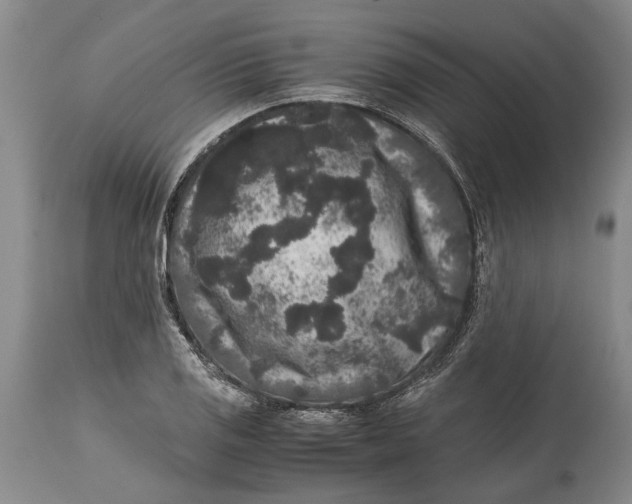 X0000114411125200911061554