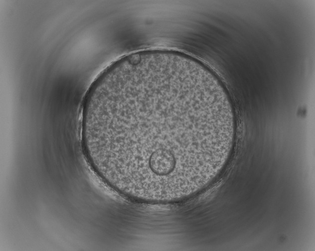 X0000114411126200911061554