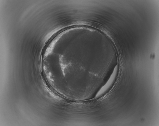 X0000114411127200911061554