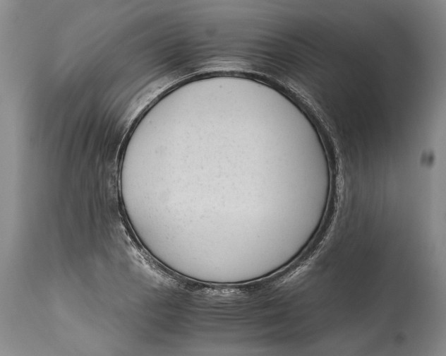 X0000114411129200911061554