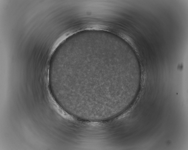 X0000114411130200911061554