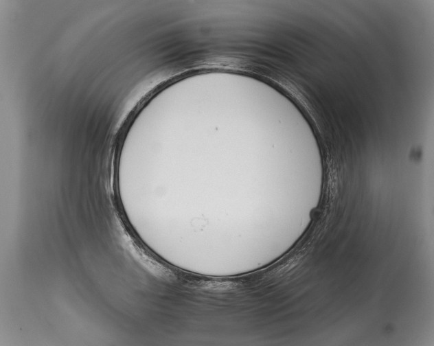 X0000114411131200911061554