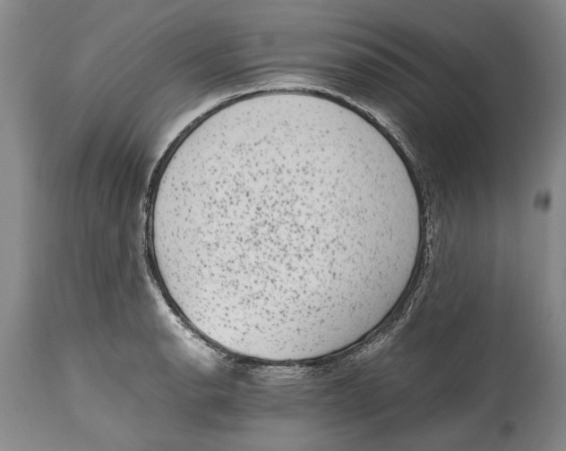 X0000114411134200911061554