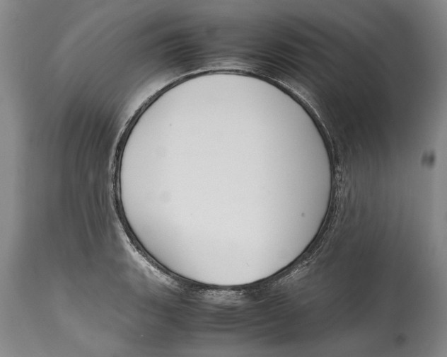 X0000114411135200911061554