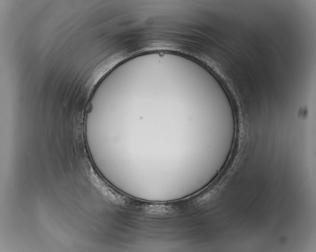 X0000114411137200911061554