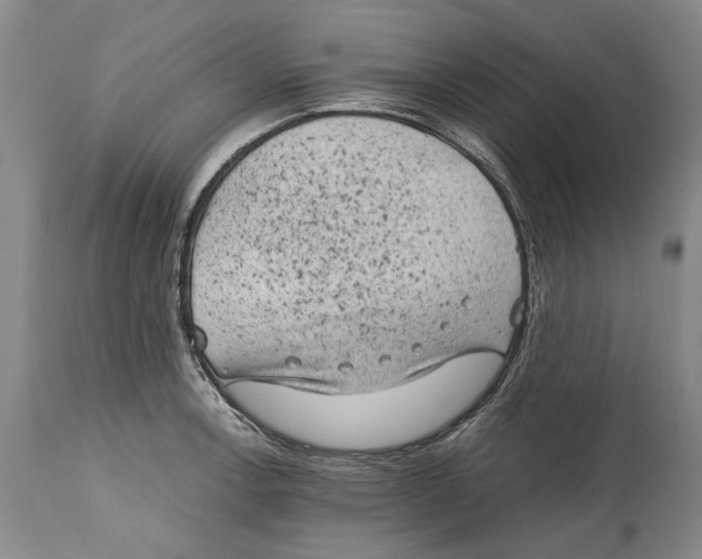 X0000114411138200911061554