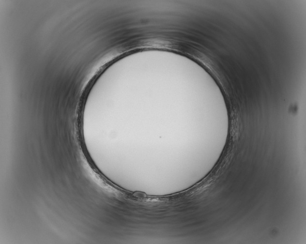 X0000114411139200911061554