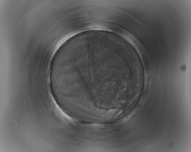 X0000114411141200911061554