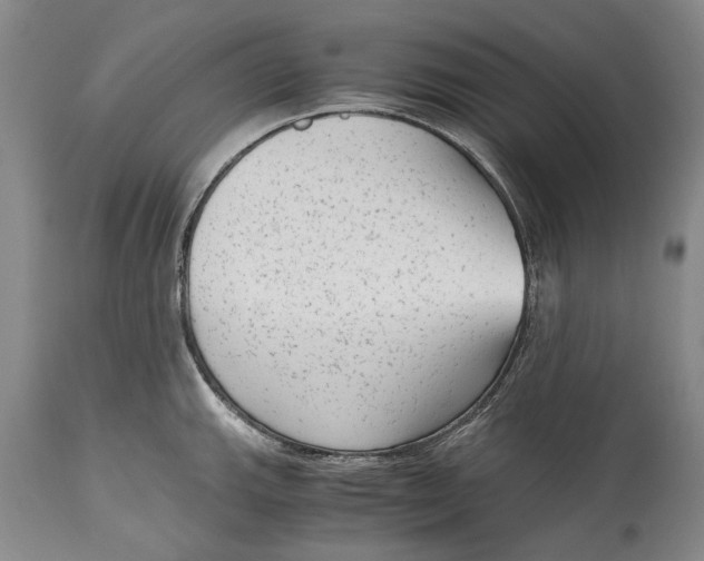 X0000114411143200911061554