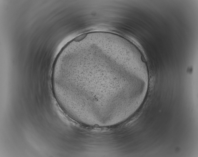 X0000114411146200911061554