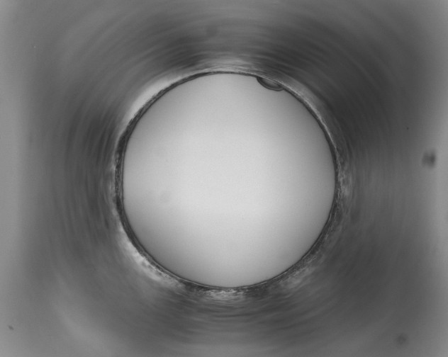 X0000114411147200911061554