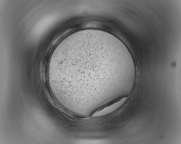 X0000114411151200911061554