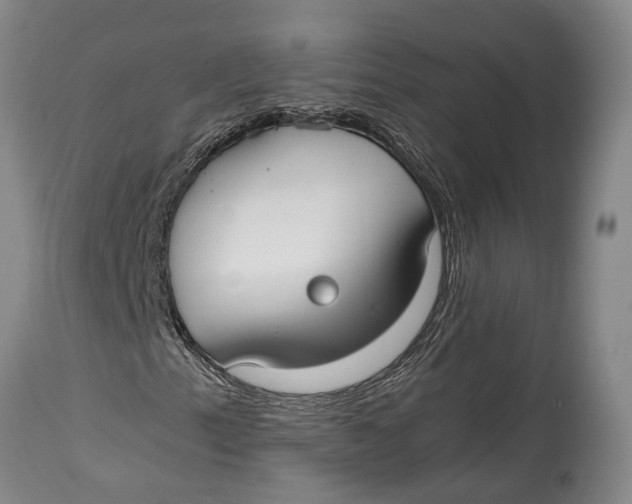 X0000114411153200911061554