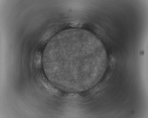 X0000114411154200911061554