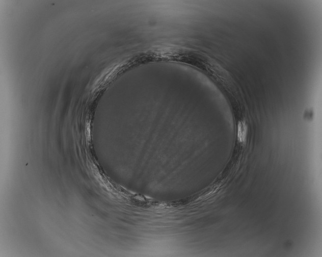 X0000114411155200911061554