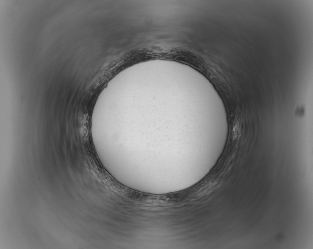 X0000114411156200911061554