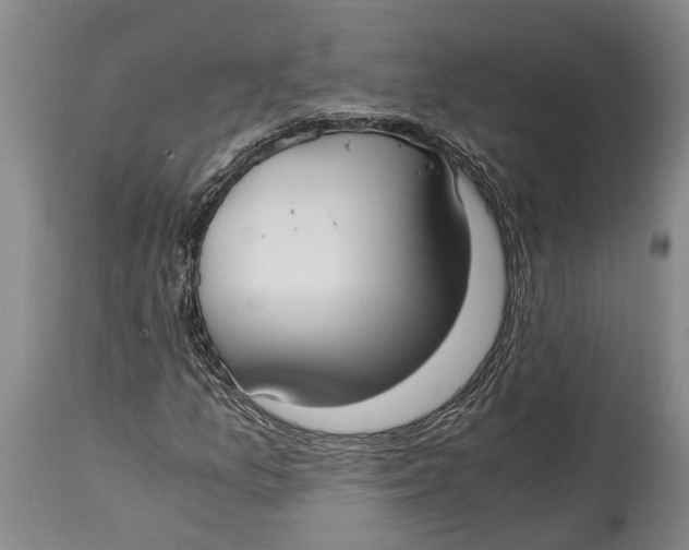 X0000114411157200911061554