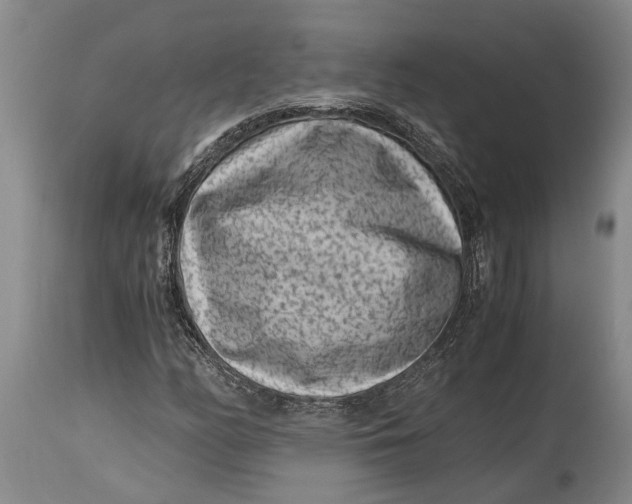 X0000114411158200911061554