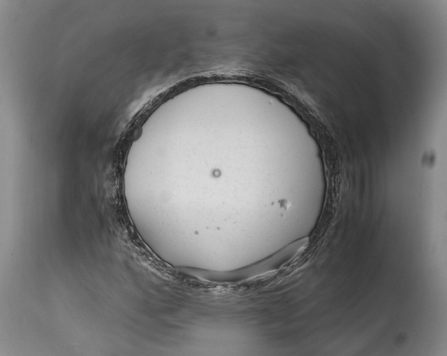 X0000114411160200911061554