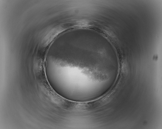 X0000114411161200911061554