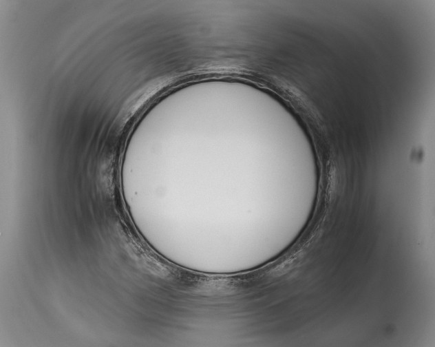 X0000114411162200911061554