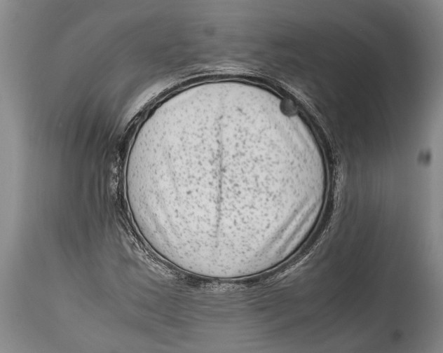 X0000114411163200911061554