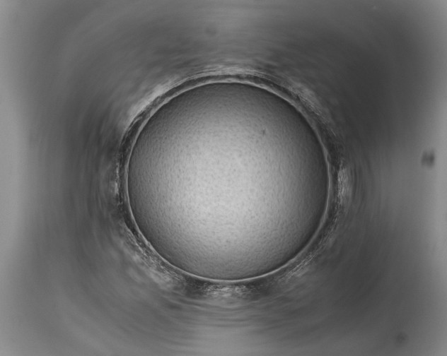 X0000114411165200911061553