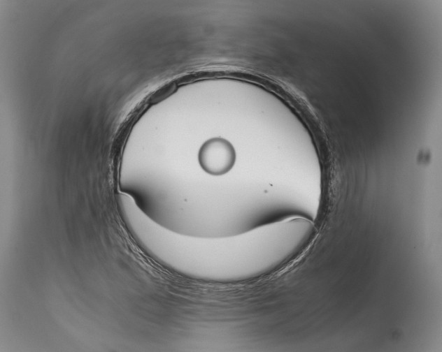 X0000114411167200911061553