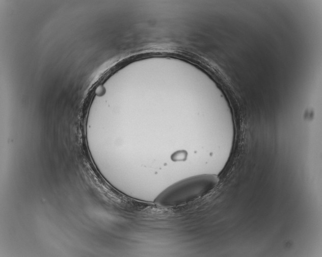 X0000114411168200911061553