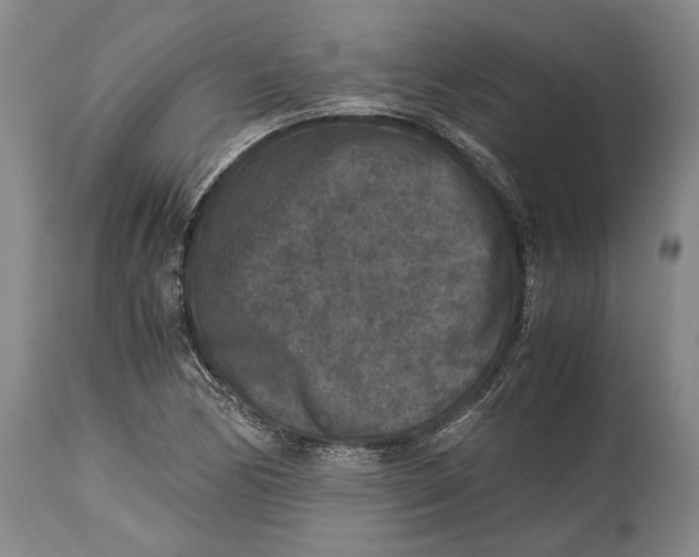 X0000114411170200911061553