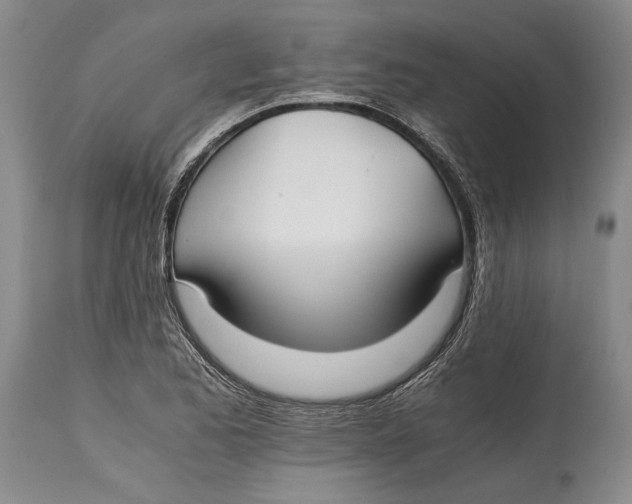 X0000114411173200911061553