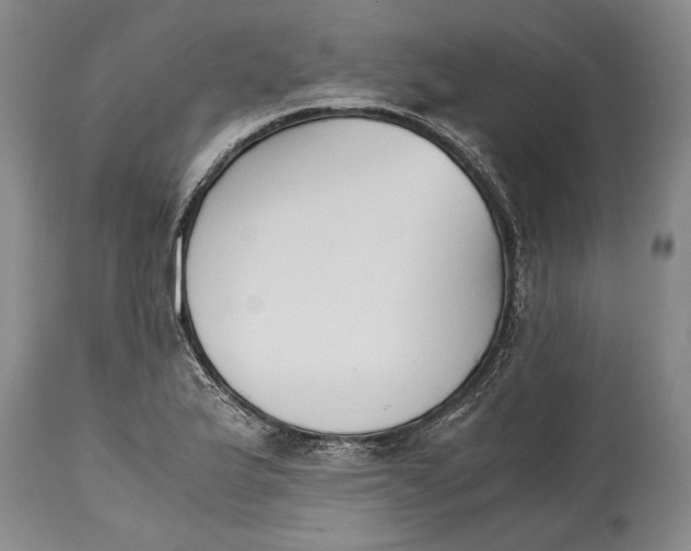 X0000114411175200911061553